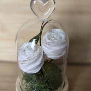 Dôme en verre " VENDU"