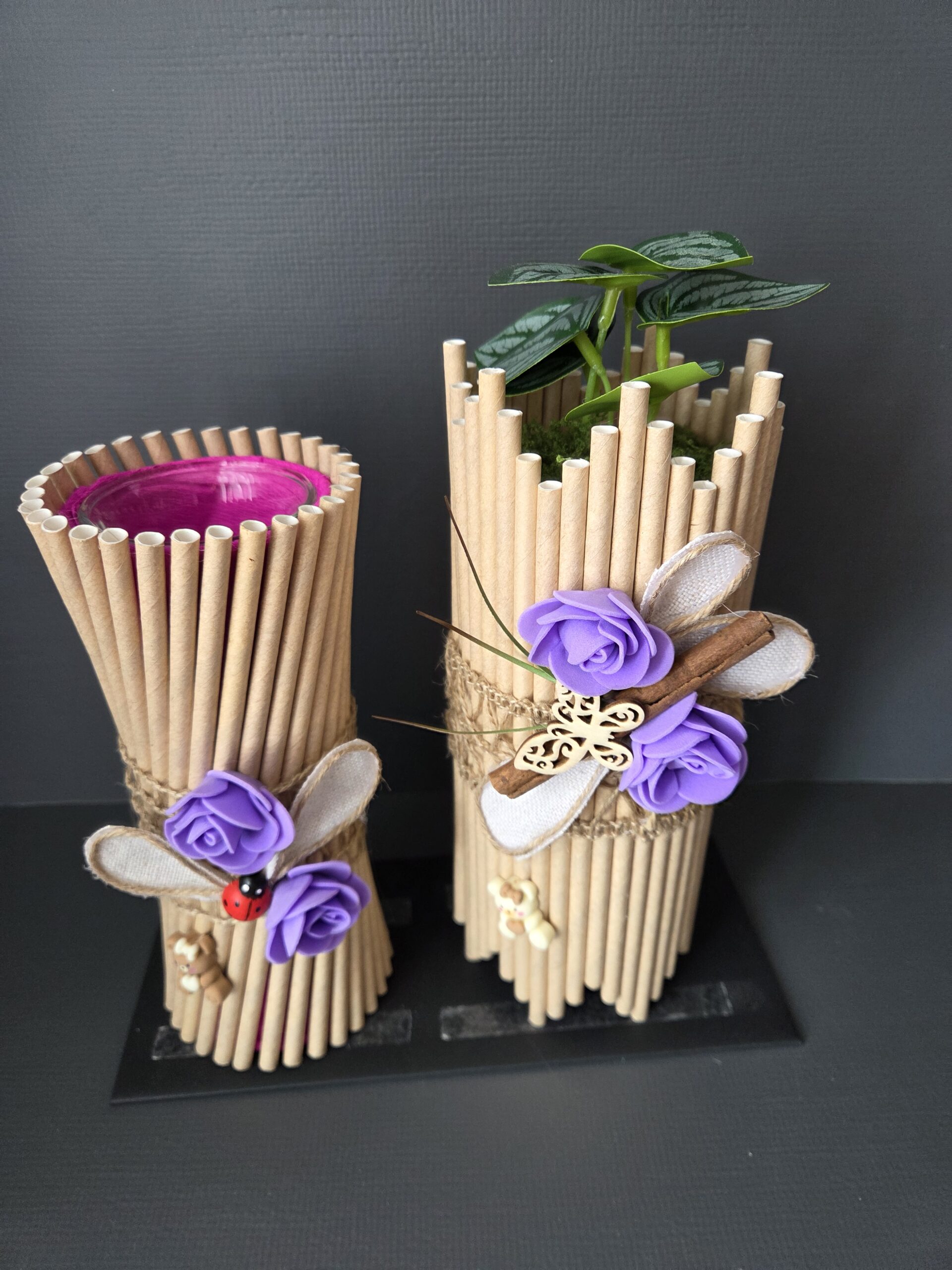 Bougeoir + pot pour plante